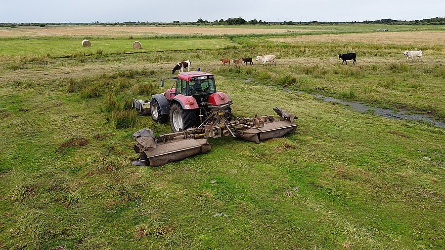 ©Peter Roggenthin Moor-Raupe beim Mähen einer Weide im Moor