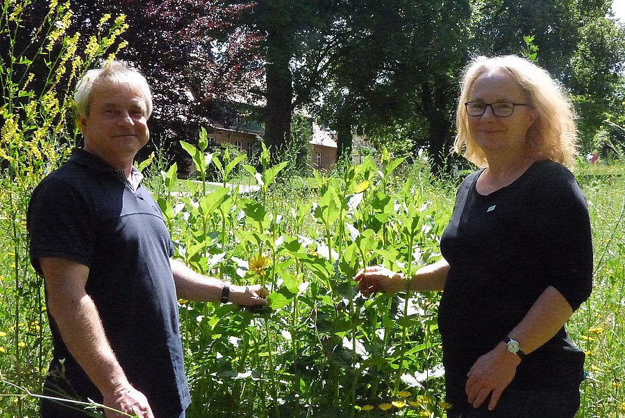 DVL-Projektmanager Thomas Bigalke und DVL-Landeskoordinatorin Petra van Dorsten besichtigen Silphie-Anbau